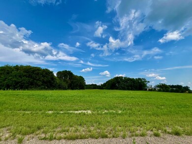 Lot 1 Block 3 River View Trail, Pelican Rapids, MN 56572 - photo 7