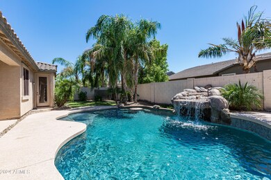 backyard2