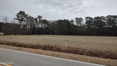 000 Green Pasture Rd, Rocky Mount, NC 27801 - photo 3