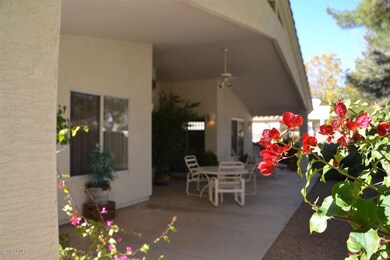 BACK PATIO