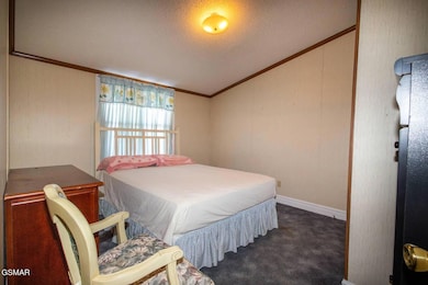 1369 Paradise Ln, Dandridge, TN 37725 - photo 6