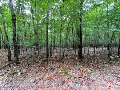 10.88 AC Beech Creek Rd, Gloucester, VA 23061 - photo 5