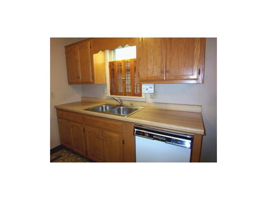 Plenty of counter space! Great view of backyard fr