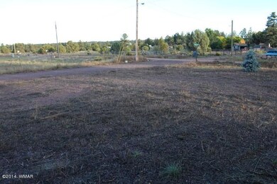 023-340176-front yard