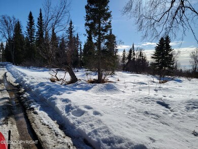 56600 Abalone Loop, Clam Gulch, AK 99568 - photo 5