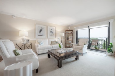 5020 Bayshore Blvd unit 702, Tampa, FL 33611 - photo 5