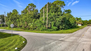 Pic 2 Side view of lot facing East on McKenzie St
