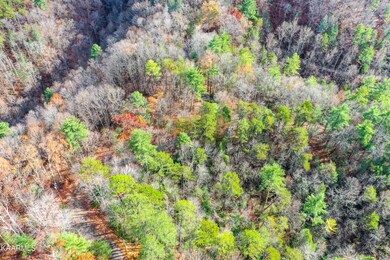 10 & 14 High Top Loop, Sevierville, TN 37862 - photo 5