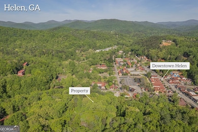 0 Ber Weg unit 10605993, Helen, GA 30545 - photo 3