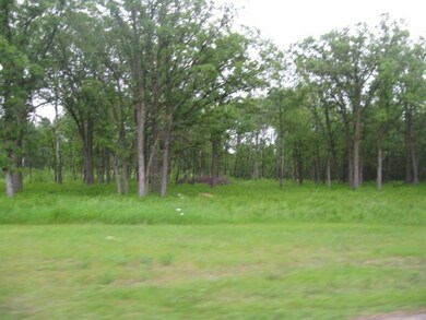 2008 S Main St, Badger, MN 56714 - photo 4