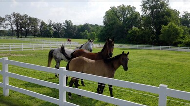 1174 Saddlebrooke Cir, Chandler, IN 47610 - photo 4
