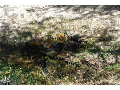 0 Barrett St unit 20022010, Granite, OR 97877 - photo 4