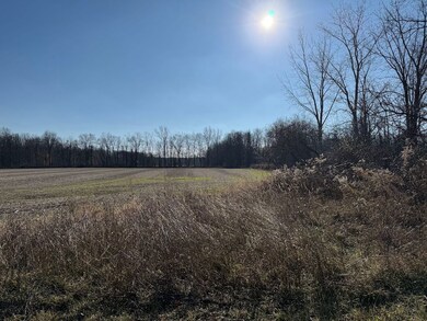 0 Lynch Rd unit 25700809, Murray, NY 14470 - photo 6