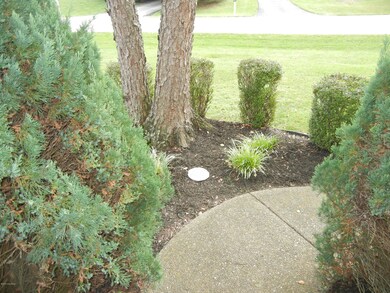 Area around front porch