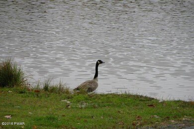 611 Forest Dr, Blooming Grove, PA 18428 - photo 5