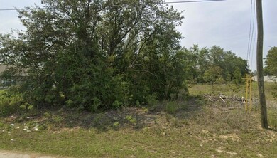 0 Malauka Radial Cir, Silver Springs Shores East, FL 32179 - photo 4