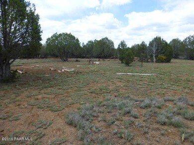 216 Off Camp Rd, Ash Fork, AZ 86320 - photo 5