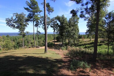 340 Lookout View Dr, Jasper, TN 37347 - photo 7