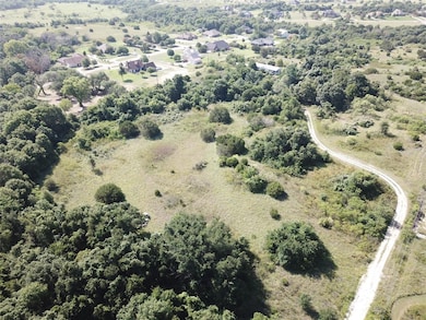 Tree line is approximate eastern property line.  M