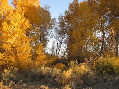 Fall View