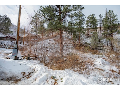 0 Falls Creek Dr unit 1048302, Bellvue, CO 80512 - photo 2