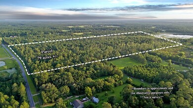 NHN Salem Rd, Picayune, MS 39466 - photo 2