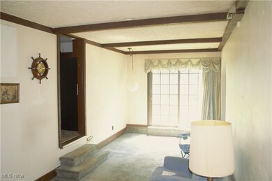 3838 Austin Rd, Geneva, OH 44041 - photo 3