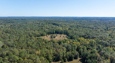 0 Mccloud Rd unit 21614202, Alberta, AL 36720 - photo 7