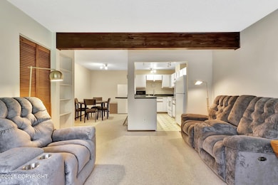 Living room & Kitchen