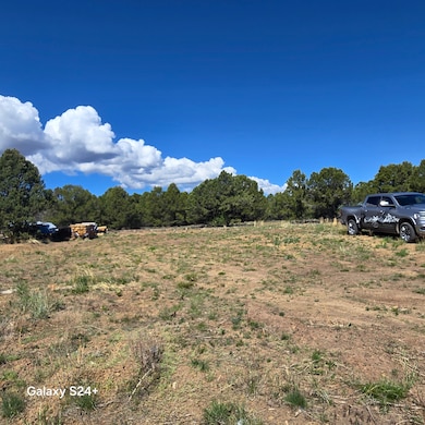 173 Kendall Rd, Ridgway, CO 81432 - photo 3