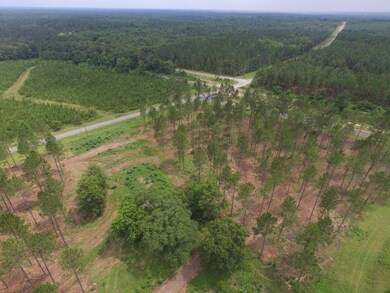 0 Whipples Crossing Rd unit 21448, Dudley, GA 31022 - photo 7