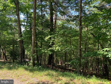 0 Lee Ashby Rd, Basye, VA 22810 - photo 2