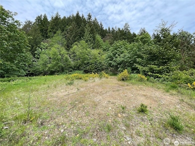 9 P-9 Highway 101, Lilliwaup, WA 98555 - photo 5