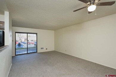 1204 Avenida Del Sol unit 212, Durango, CO 81301 - photo 5