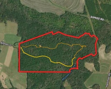 Yellow Line is Trail System
