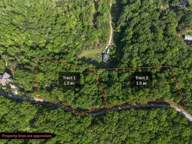 Tract 2 Century Ln, Blue Ridge, GA 30513 - photo 2