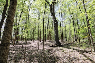 VL, Grand Junction, MI 49056 - photo 4