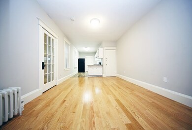 25 Park Vale Ave unit 1, Allston, MA 02134 - photo 5
