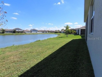 4024 Mossy Limb Ct, Palmetto, FL 34221 - photo 4