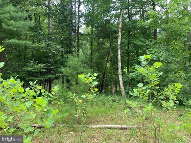 0 Shockeysville Rd unit VAFV2014768, Winchester, VA 22603 - photo 4