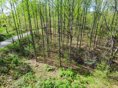 8716 Winslow Ct, Columbus, IN 47201 - photo 6