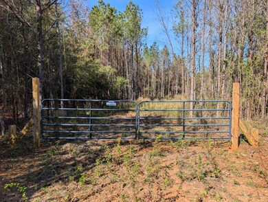 0 County Rd 51 unit A, Greensboro, AL 36033 - photo 3