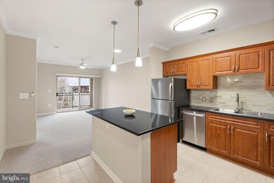 Bryson At Woodland Park unit 401, Herndon, VA 20171 - photo 5