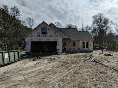 3 Sloop Point Loop Rd, Hampstead, NC 28443 - photo 2