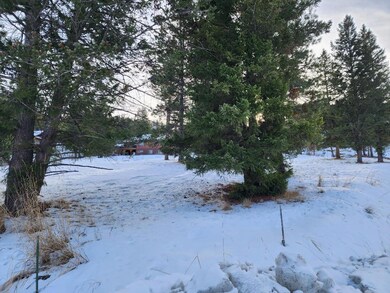 312 Bison Circle Dr, Kalispell, MT 59901 - photo 4