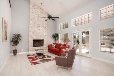 So Much Natural Light!