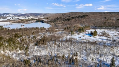 L1 County Rd 16, Otselic, NY 13815 - photo 6