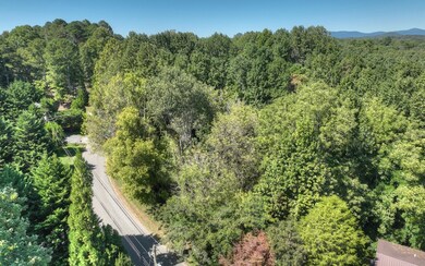 13.32 Old Tails Creek Rd, Ellijay, GA 30540 - photo 6