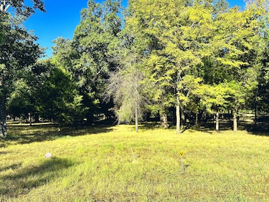 Lot 65 Sombrilla Ln, Kerens, TX 75144 - photo 5