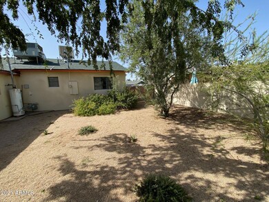 Backyard 4